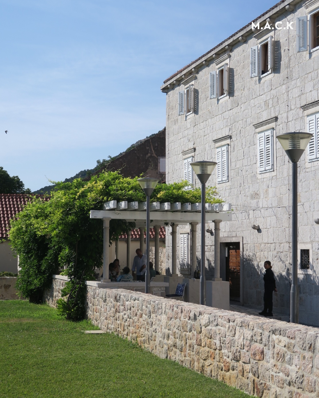 Historical harvest at Dingač — the first Croatian protected designation of origin since 1961